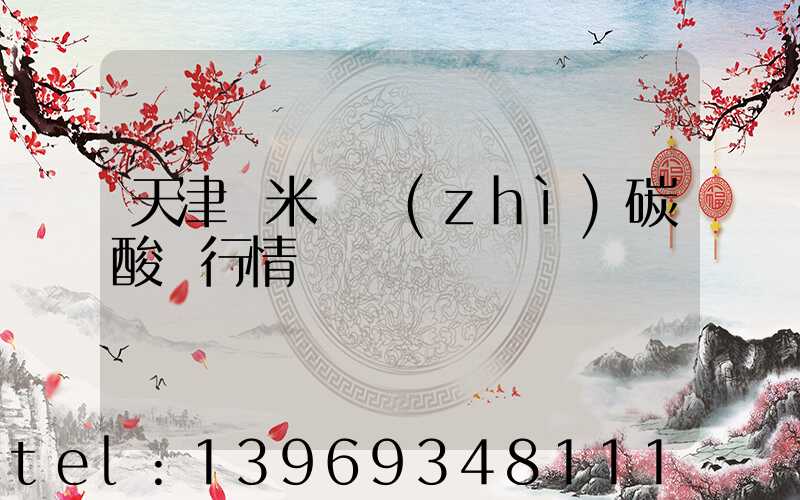 天津納米輕質(zhì)碳酸鈣行情